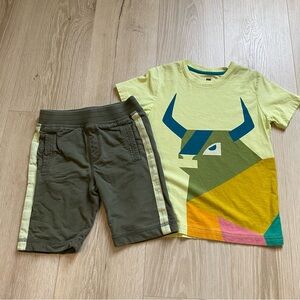 Tea Collection size 6 set